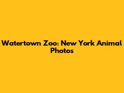 Watertown Zoo: New York Animal Photos
