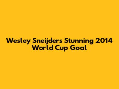 Wesley Sneijder's Stunning 2014 World Cup Goal