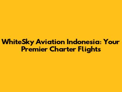 WhiteSky Aviation Indonesia: Your Premier Charter Flights