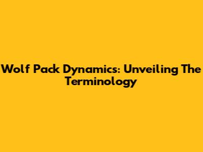 Wolf Pack Dynamics: Unveiling The Terminology