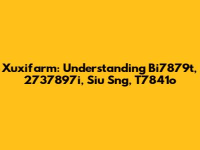 Xuxifarm: Understanding Bi7879t, 2737897i, Siu Sng, T7841o