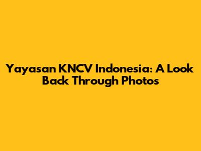 Yayasan KNCV Indonesia: A Look Back Through Photos