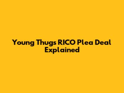 Young Thug's RICO Plea Deal Explained