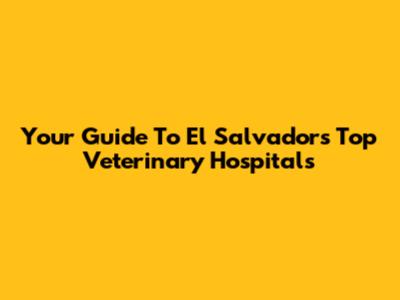 Your Guide To El Salvador's Top Veterinary Hospitals
