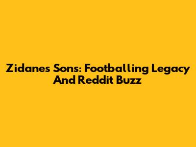 Zidane's Sons: Footballing Legacy And Reddit Buzz
