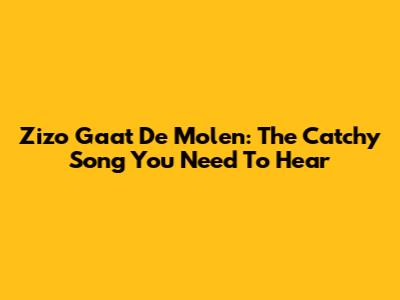 Zizo Gaat De Molen: The Catchy Song You Need To Hear